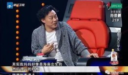 小雨爆料陈小刚视频播放,真相与争议并存